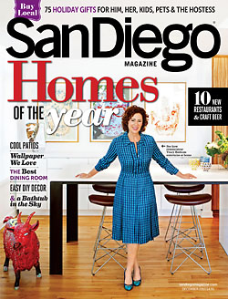 SD Magazine 2013 cover